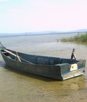 1200px-Trasimenoboats (1)